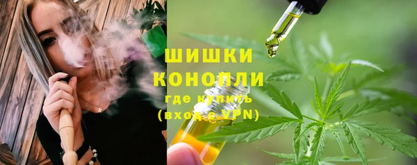 PSILOCYBIN Надым