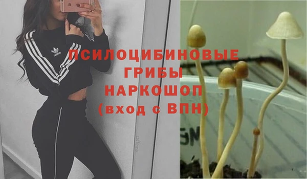 спиды Навашино