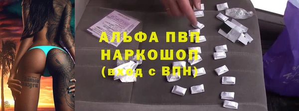 PSILOCYBIN Надым