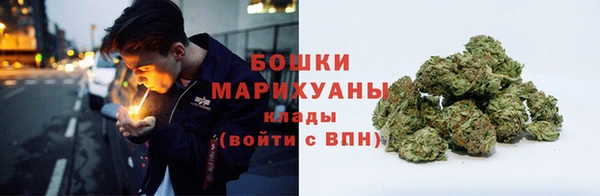 PSILOCYBIN Надым