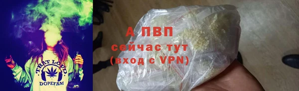PSILOCYBIN Надым