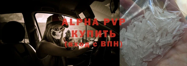 PSILOCYBIN Надым